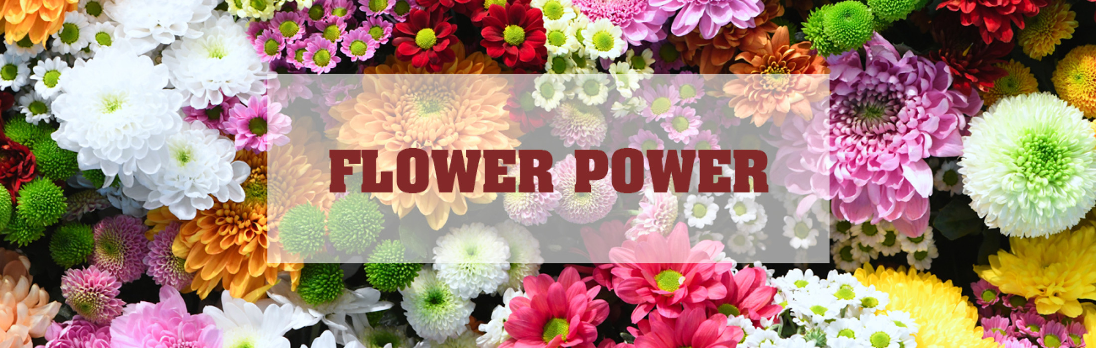 Flower Power Banner